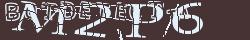 Retype the CAPTCHA code from the image